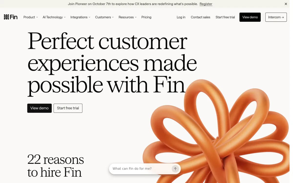 Screenshot of the Fin website